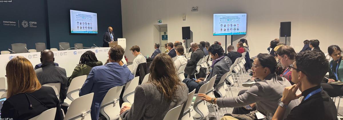 长沙香港现代教育